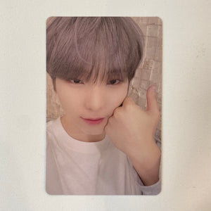 ONEUS 'LA DOLCE VITA'  OFFICIAL POP-UP MERCH - Trading Photocards