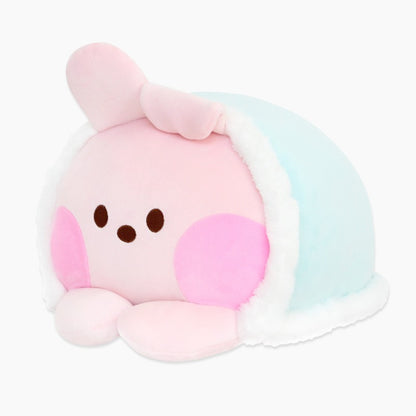 BT21 Minini Warm Cushions