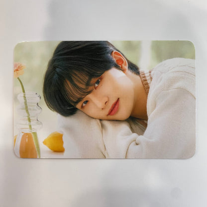 Stray Kids - Nacific Special Photocards