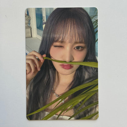 IVE - ALIVE HMV Photocards