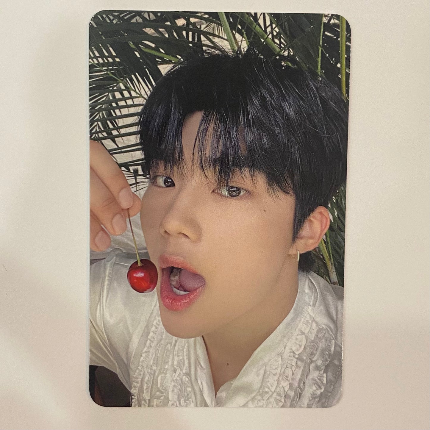 ZEROBASEONE - 2023 Fan Con Trading Photocards