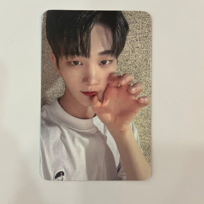 DRIPPIN - Seven Sins Dear My Muse Photocard