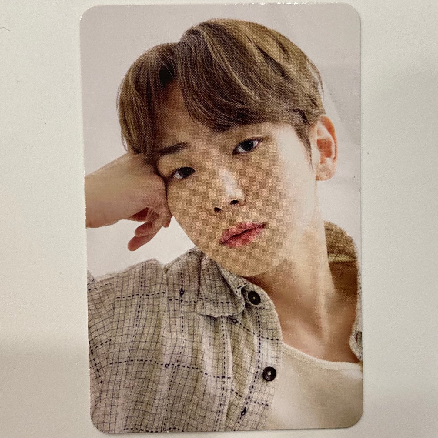 SHINEE - 2024 Season's Greetings Trading Cards