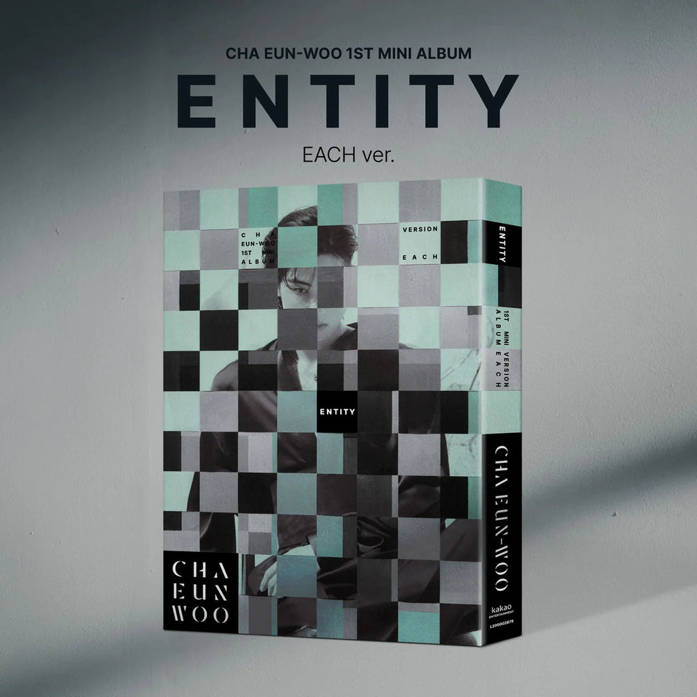 CHA EUNWOO - ENTITY