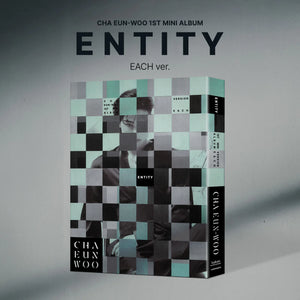 CHA EUNWOO - ENTITY