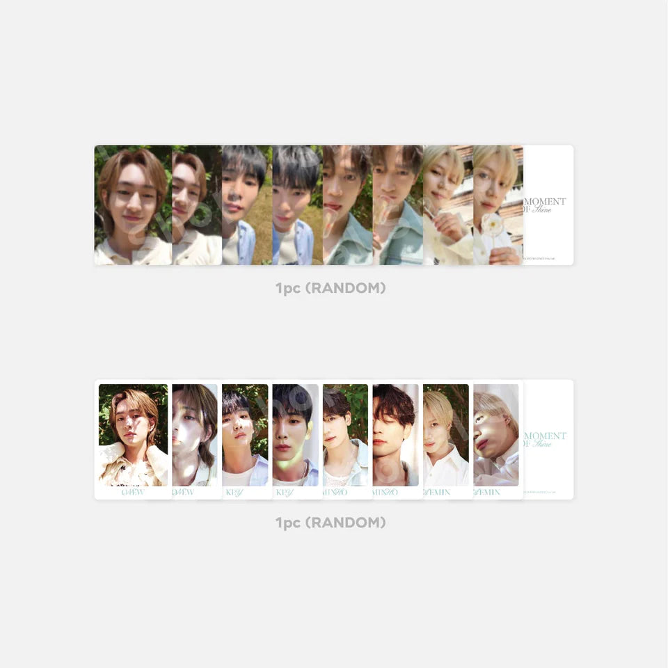 
            
                Load image into Gallery viewer, SHINEE - THE MOMENT OF SHINE Trading Cards
            
        