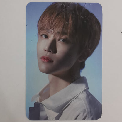 NCT DREAM - 'Starry Daydream' Trading Cards