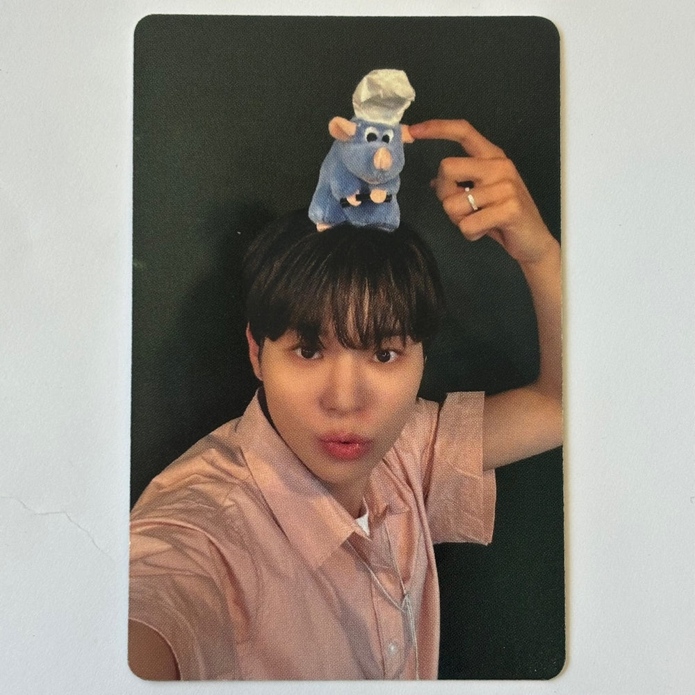 BLITZERS - LUNCH BOX K STARS PHOTOCARD