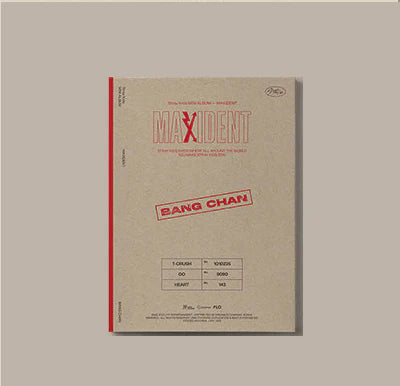 Stray Kids - MAXIDENT (Case File)