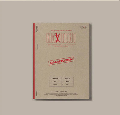 Stray Kids - MAXIDENT (Case File)