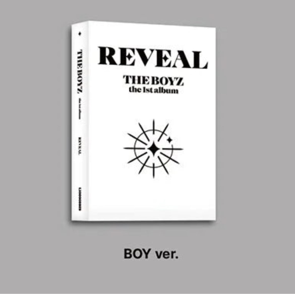 The Boyz - REVEAL (Platform Ver)