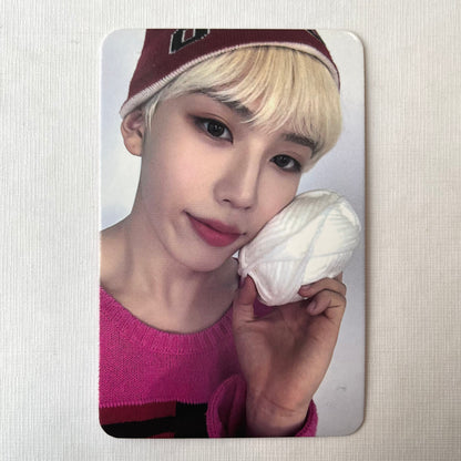 8TURN - STUNNING Dearmymuse Photocards