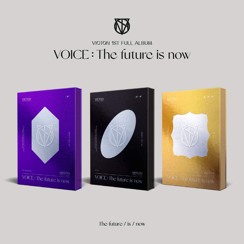 [DAMAGED] VICTON - Voice: The Future Is Now