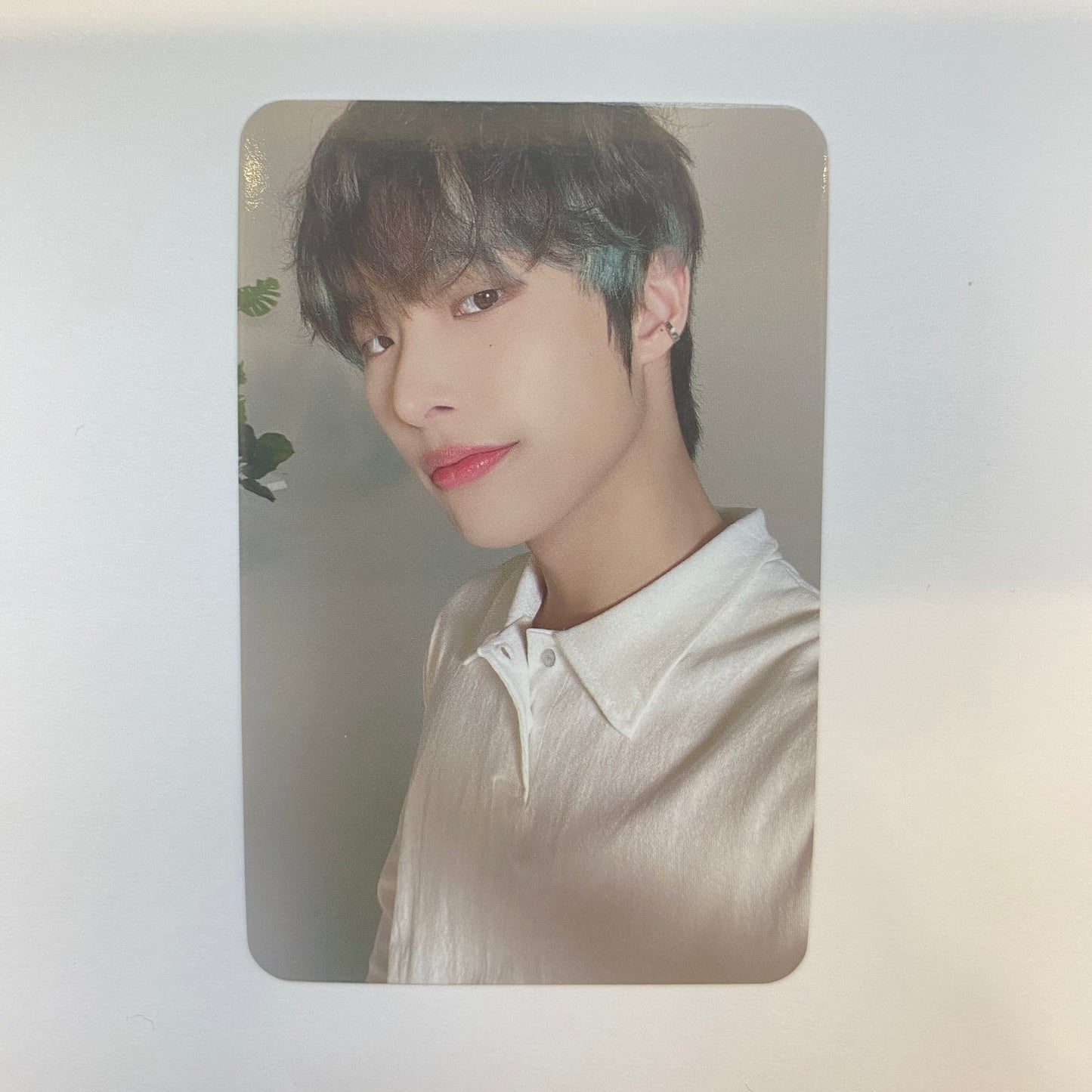 ATEEZ - Olive Young Photocards