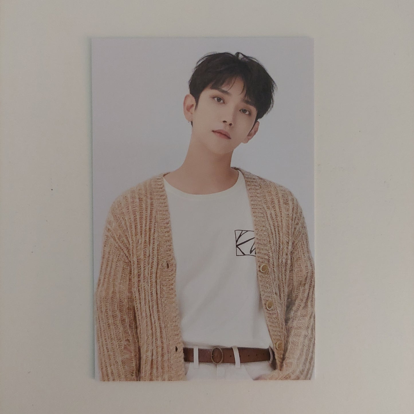 Seventeen - 2021 Caratland Photocards