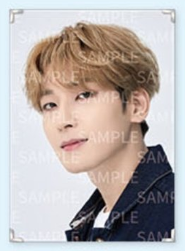 Seventeen - Caratland Premium Photo