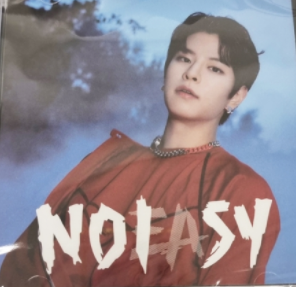 Stray Kids - NOEASY (Jewel Case)