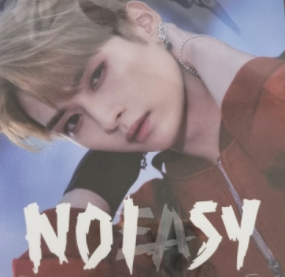 Stray Kids - NOEASY (Jewel Case)