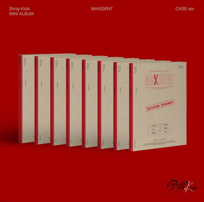 Stray Kids - MAXIDENT (Case File)