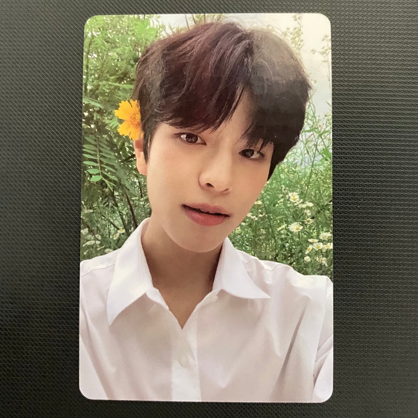 Stray Kids - NOEASY/CHRISTMAS EVEL Limited Photocards