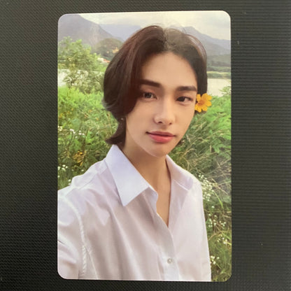 Stray Kids - NOEASY/CHRISTMAS EVEL Limited Photocards