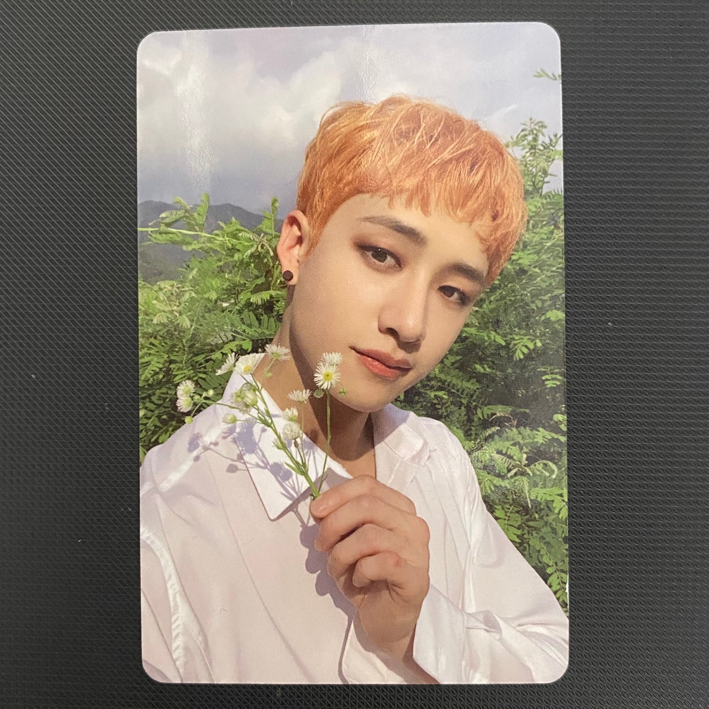 Stray Kids - NOEASY/CHRISTMAS EVEL Limited Photocards