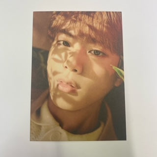 BTS - HYBE Insight Postcards